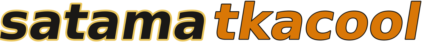 satamatkacool logo